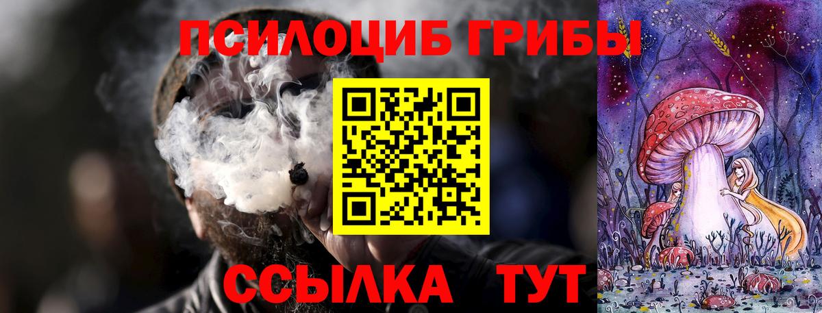 купить наркотики цена  Псилоцибиновые грибы MAGIC MUSHROOMS  Вход с VPN  Тихорецк 